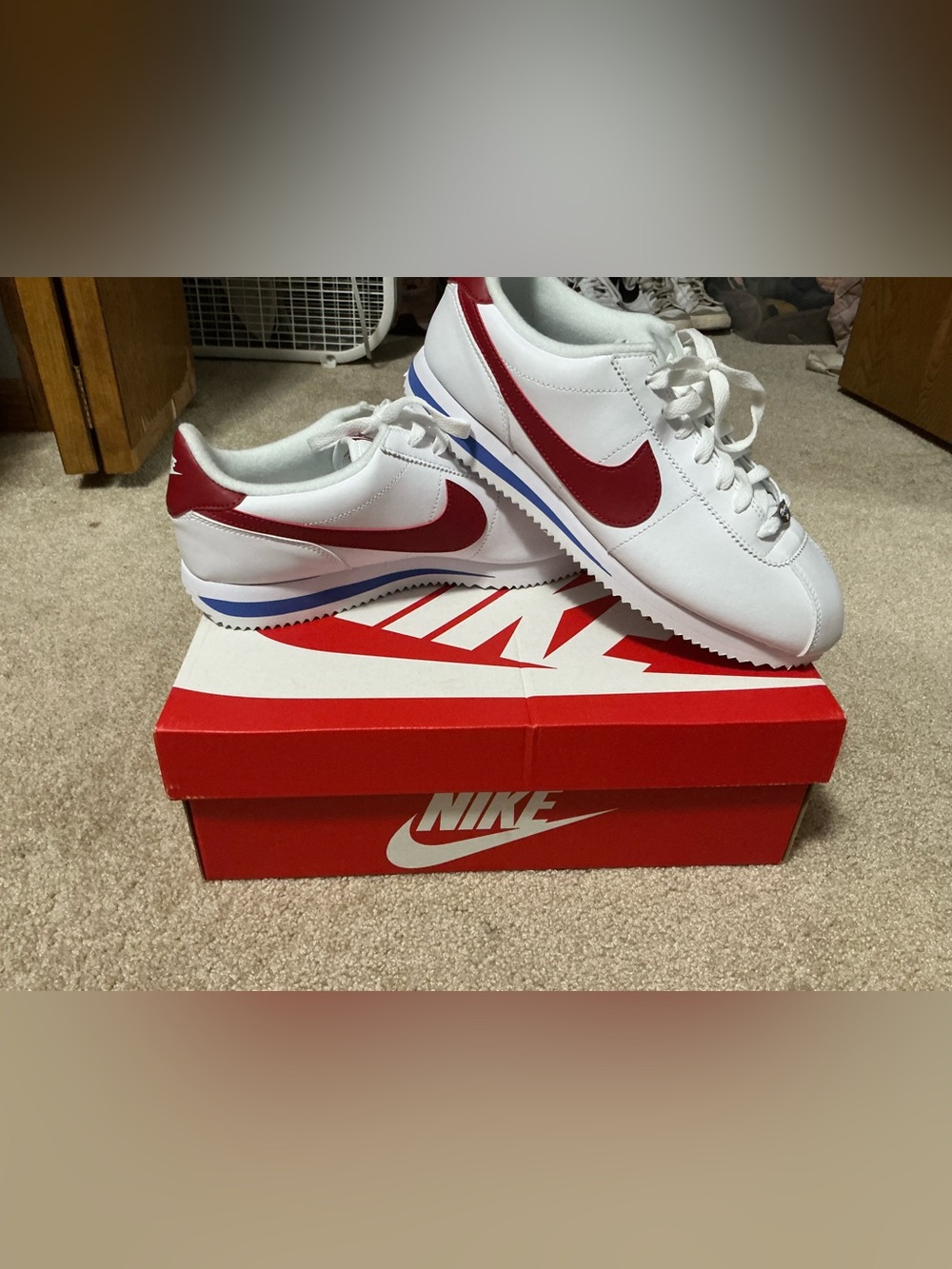 Nike Men’s White Sneakers with Red Swoosh